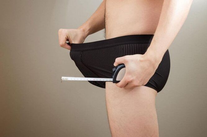 normal penis size