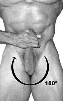 A member's workout for a member