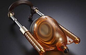 Penis prosthetics