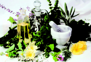 penis enlargement herbs