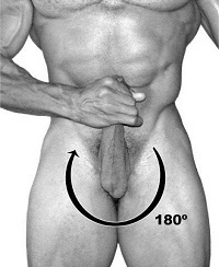 Exercise bell
