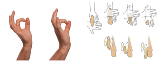 jelqing for penis enlargement