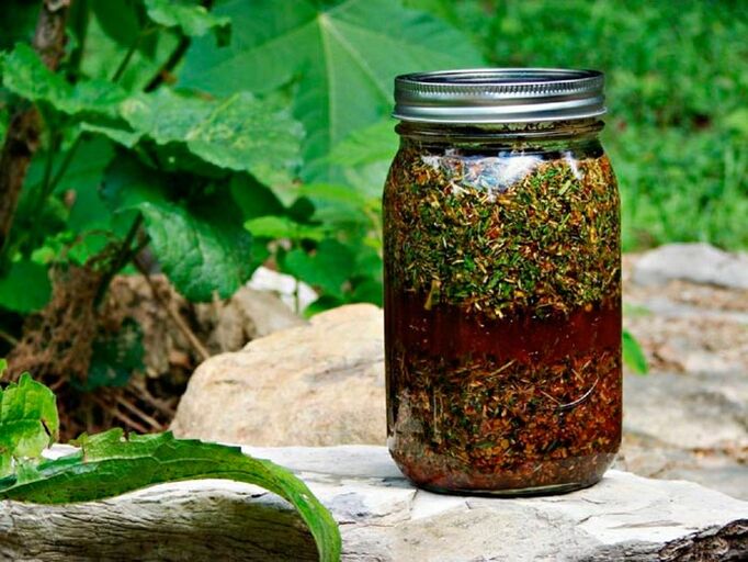 A decoction of wormwood will help increase the size of the male sexual organ