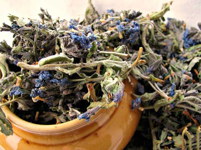Dried lung to prepare a medicinal infusion that enlarges a man's penis