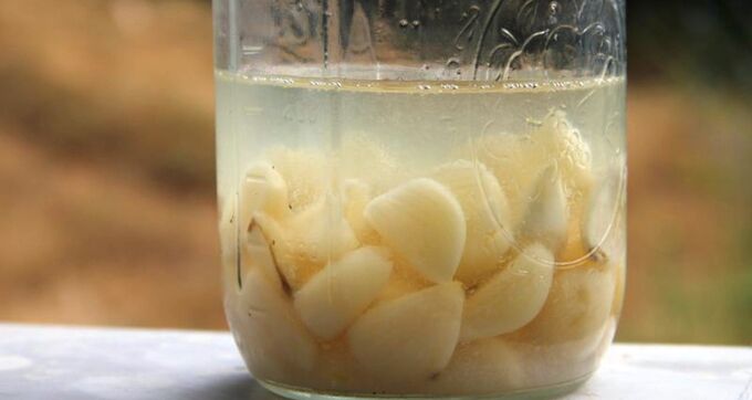 Garlic tincture taken for three months will increase the size of the penis