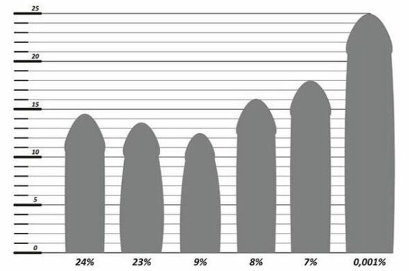 Penis size statistics